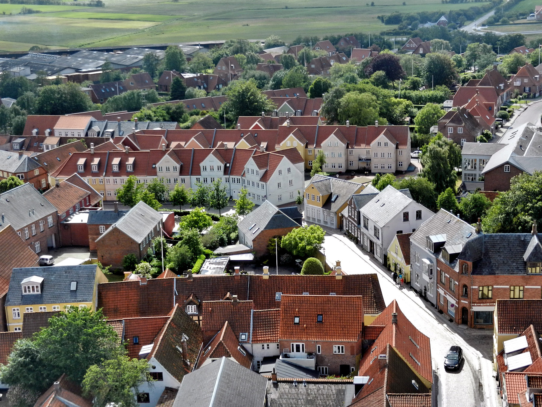 Ribe